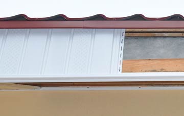 Salen fascia repair costs