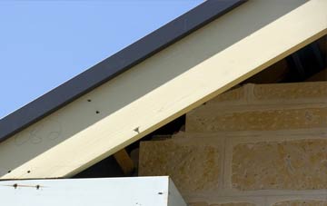 Salen fascia repairs