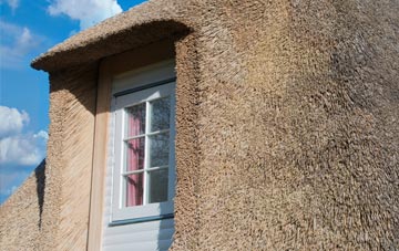 Salen thatch roof disadvantages