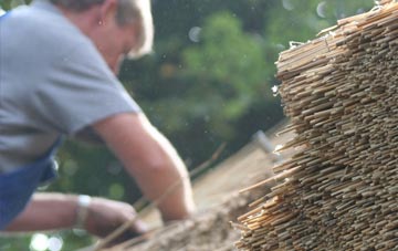 professional Salen thatchers