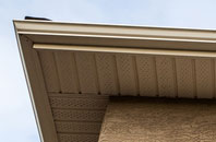 free Salen fascia quotes