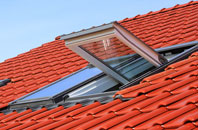 Salen roof window