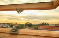 rated Salen roof window companies